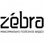 Zebra видеостудия. Производство видеорекламы